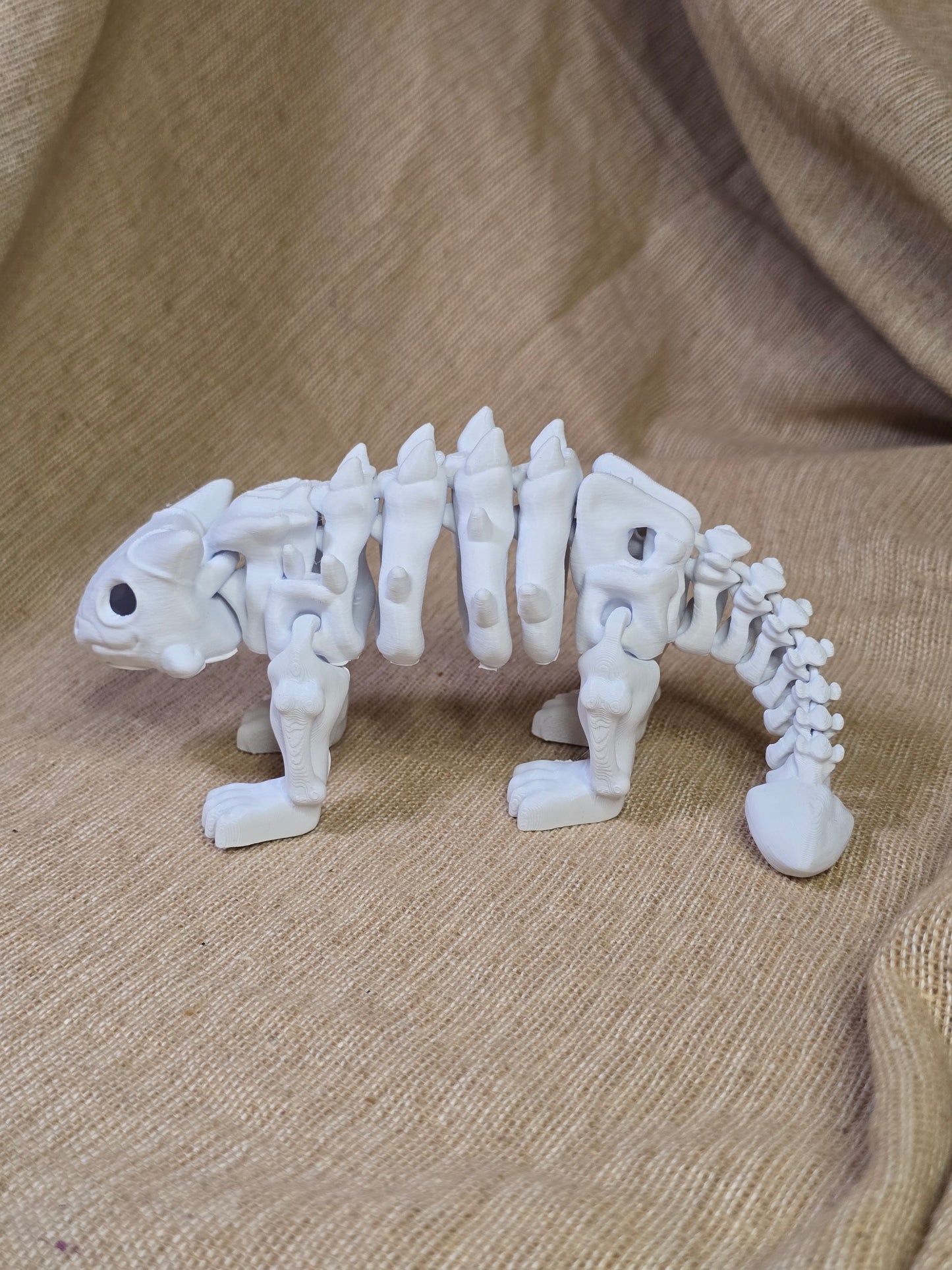 Awkylosauras skeleton