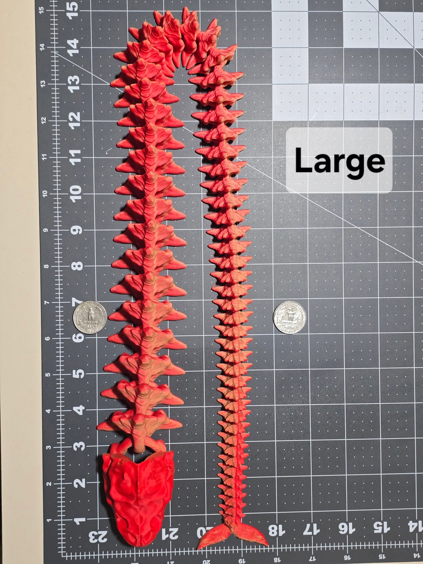 Lava Basilisk Skeleton