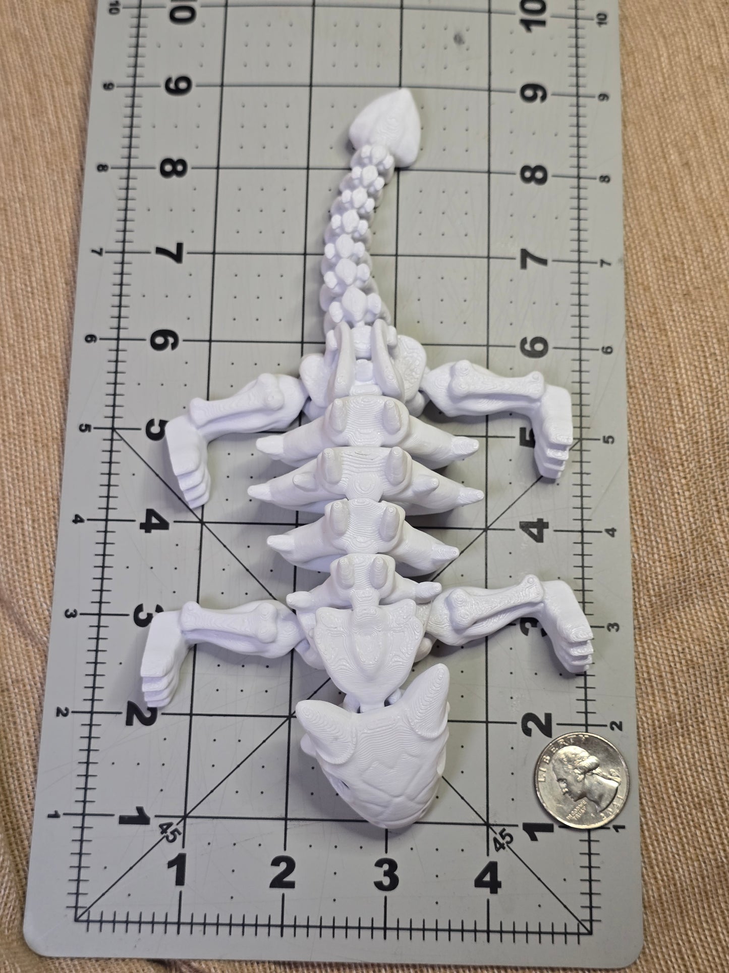 Awkylosauras skeleton