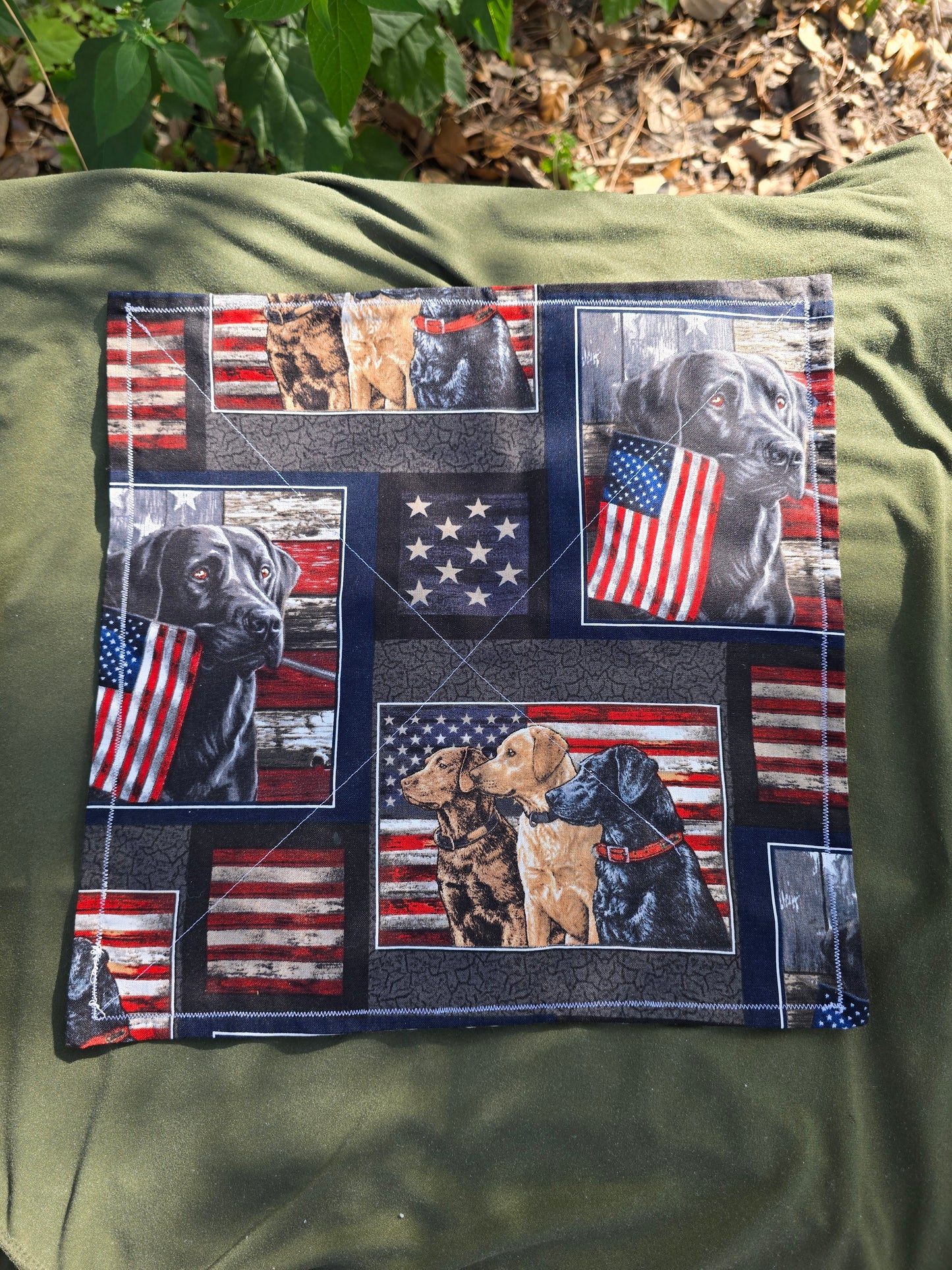 America Puppy Hank