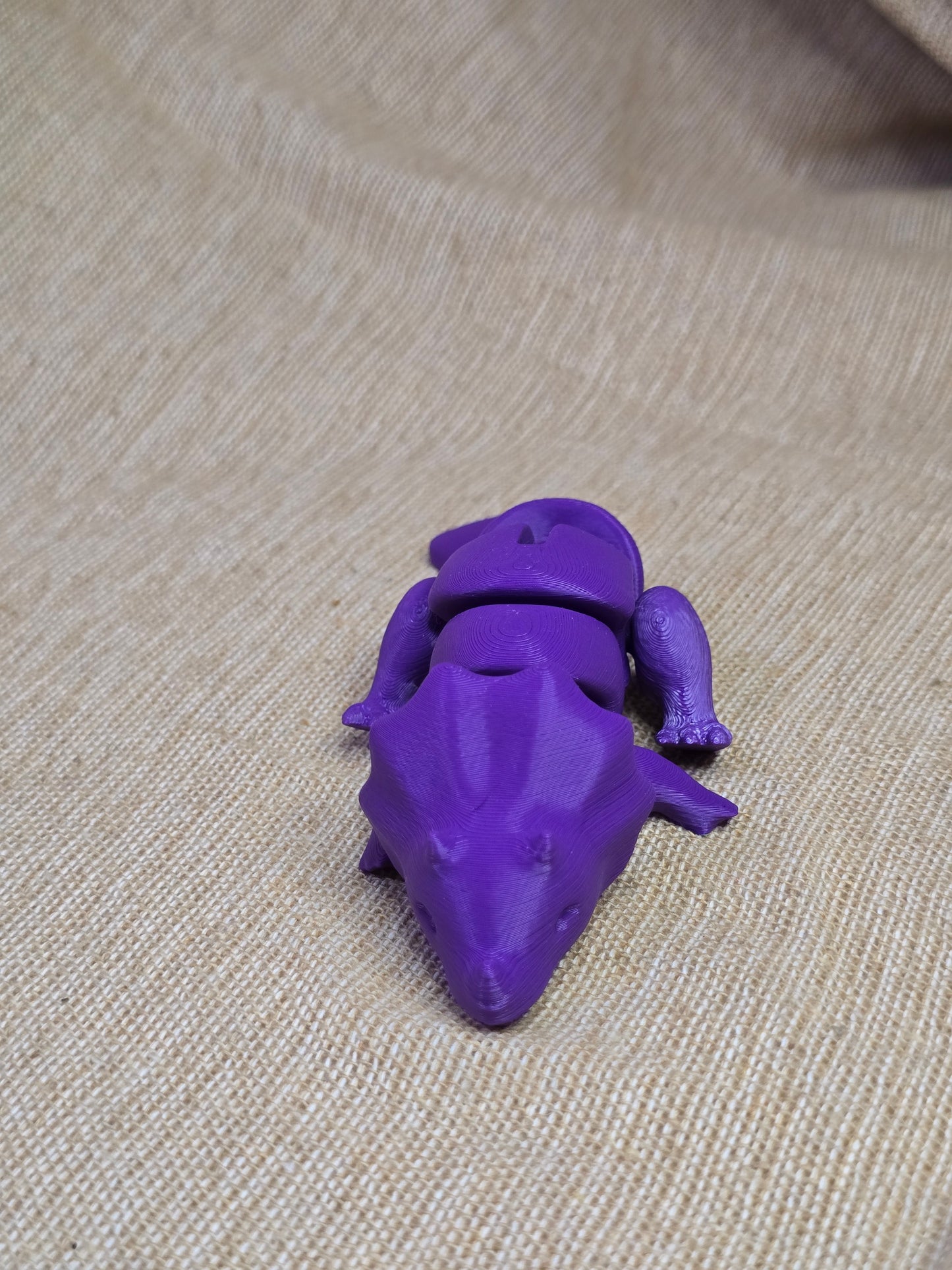Triceratops