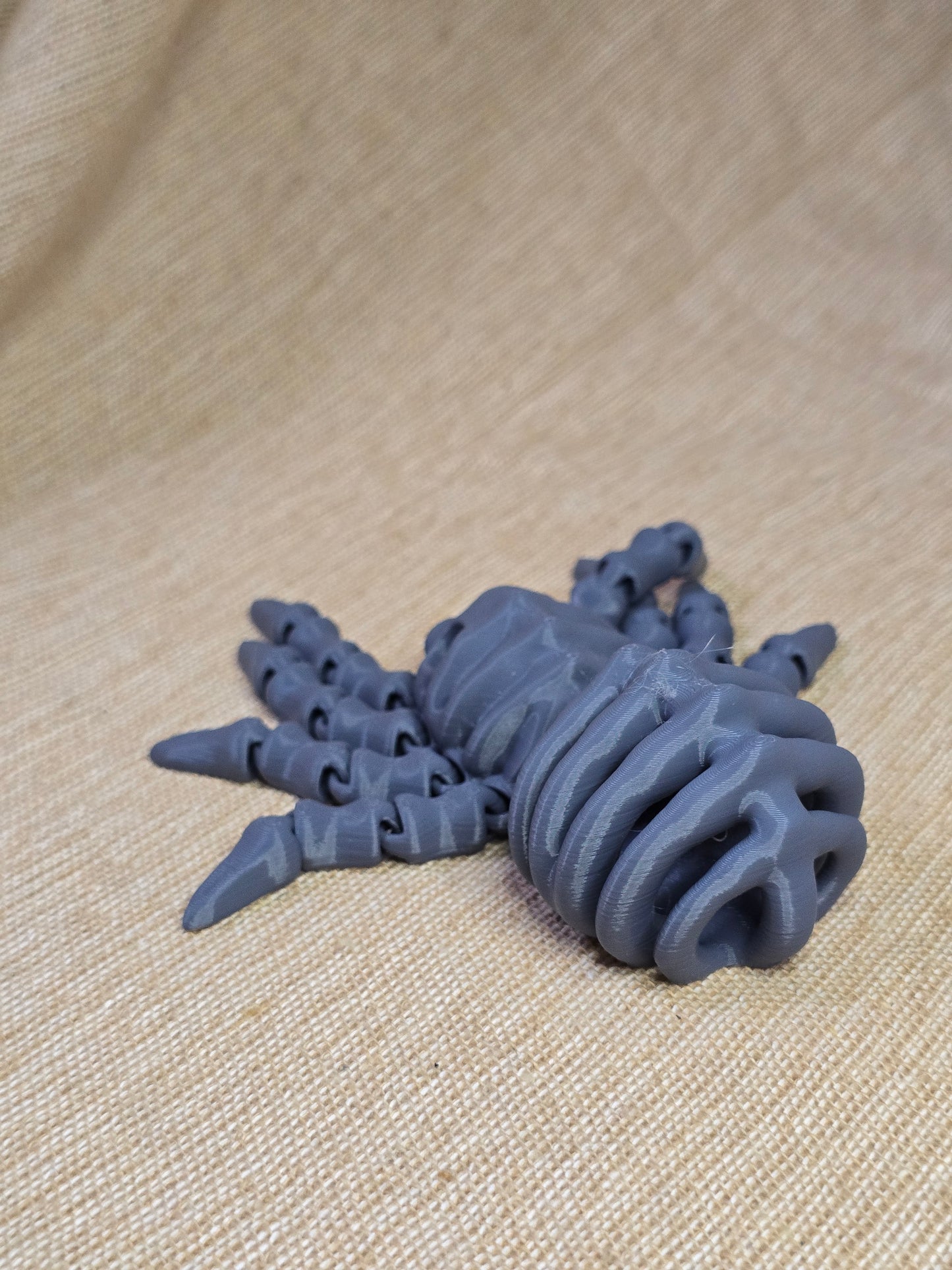 3D printed spider skeleton