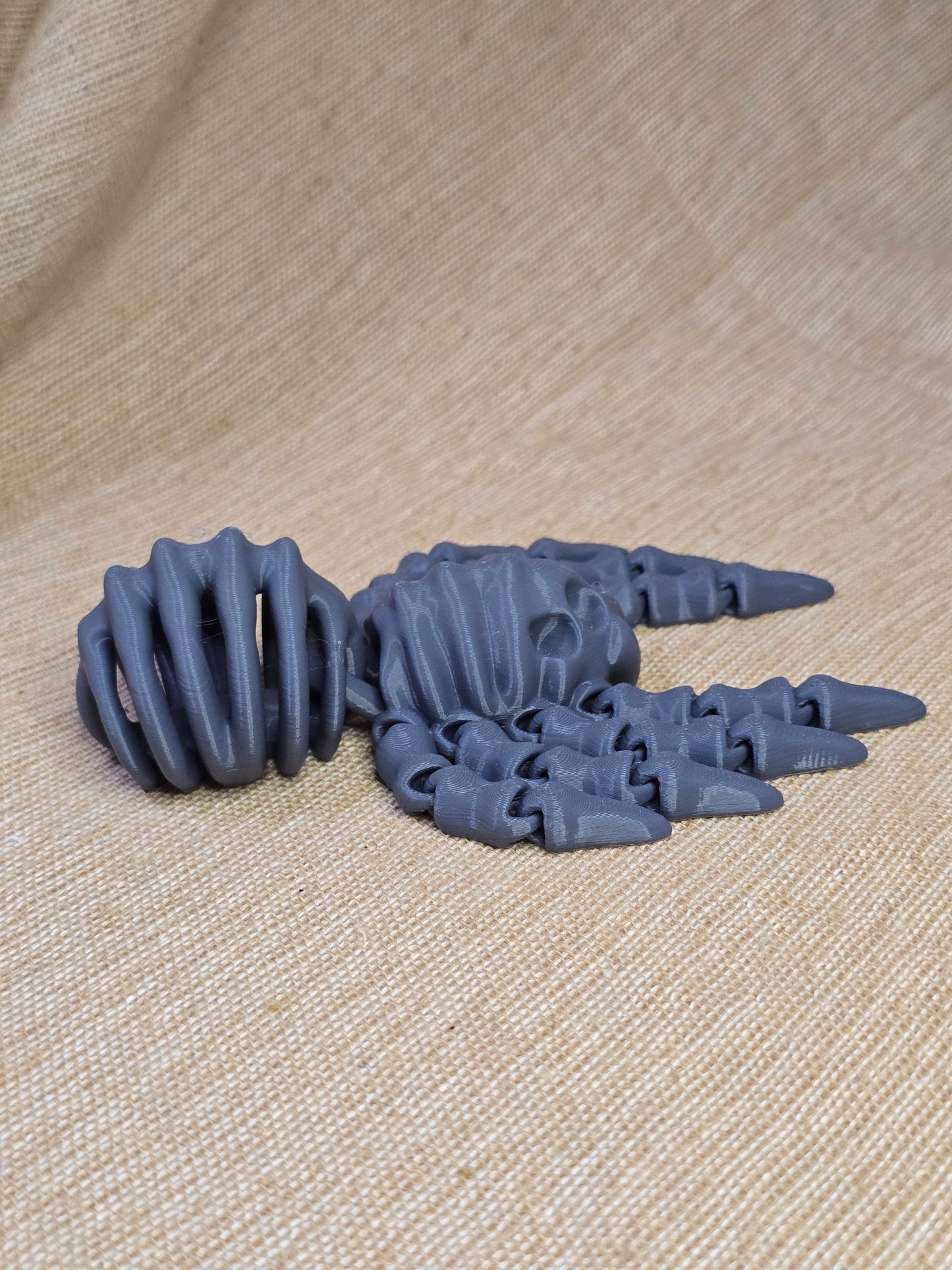3D printed spider skeleton