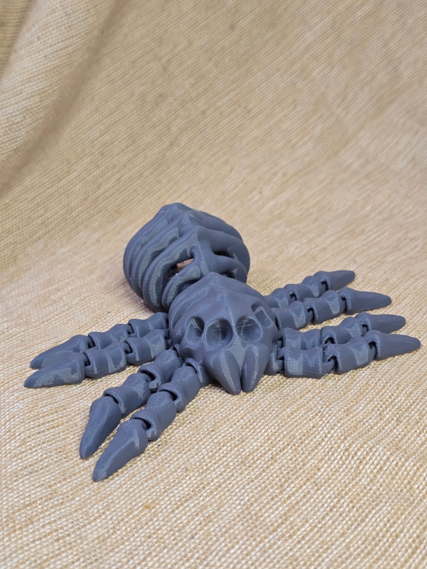 3D printed spider skeleton