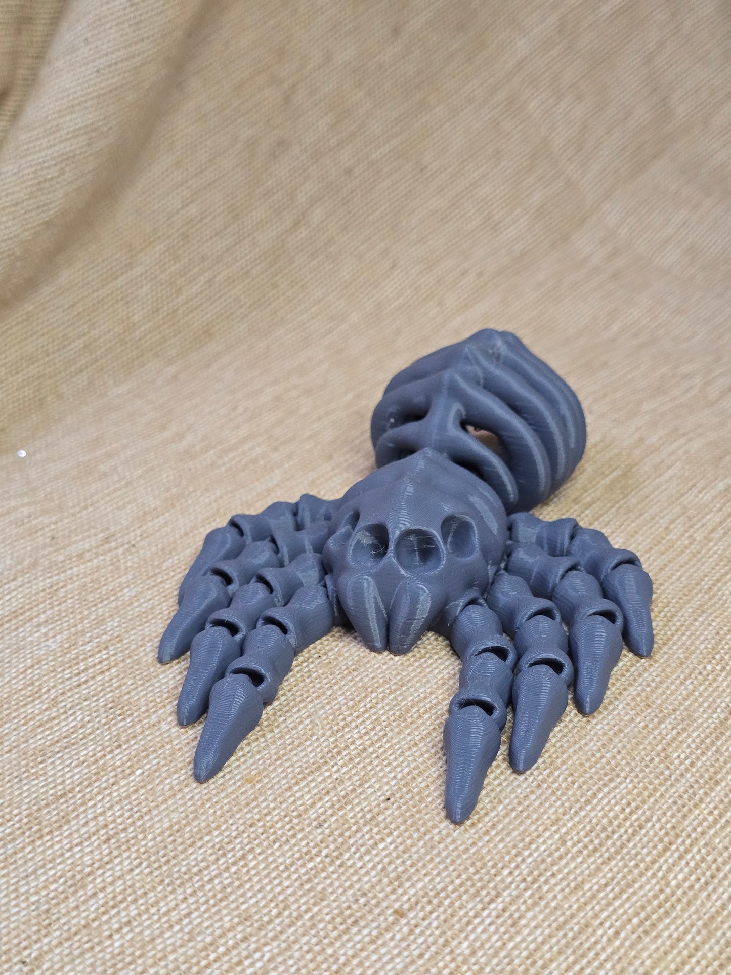 3D printed spider skeleton