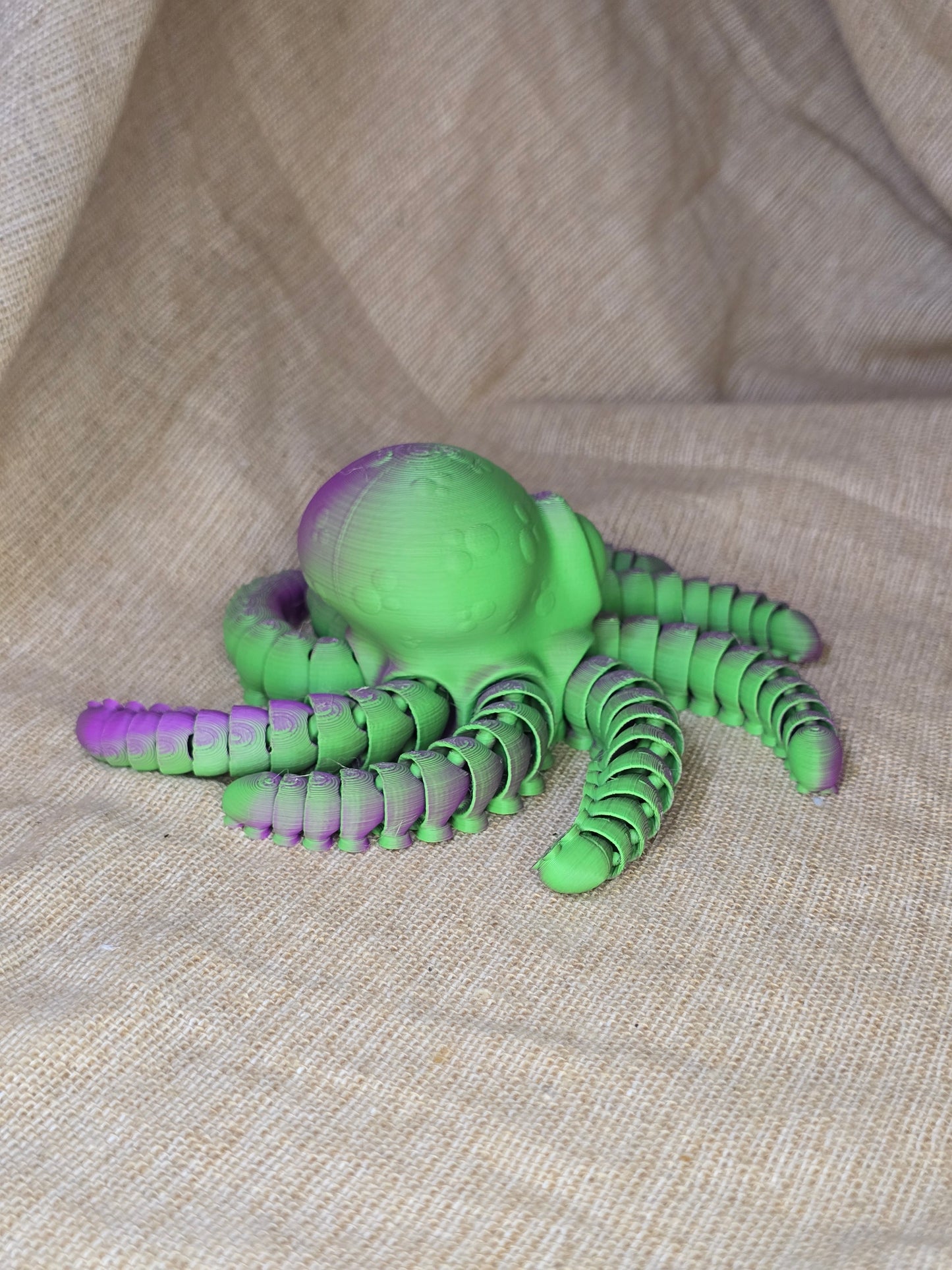 Little Octopus Friend