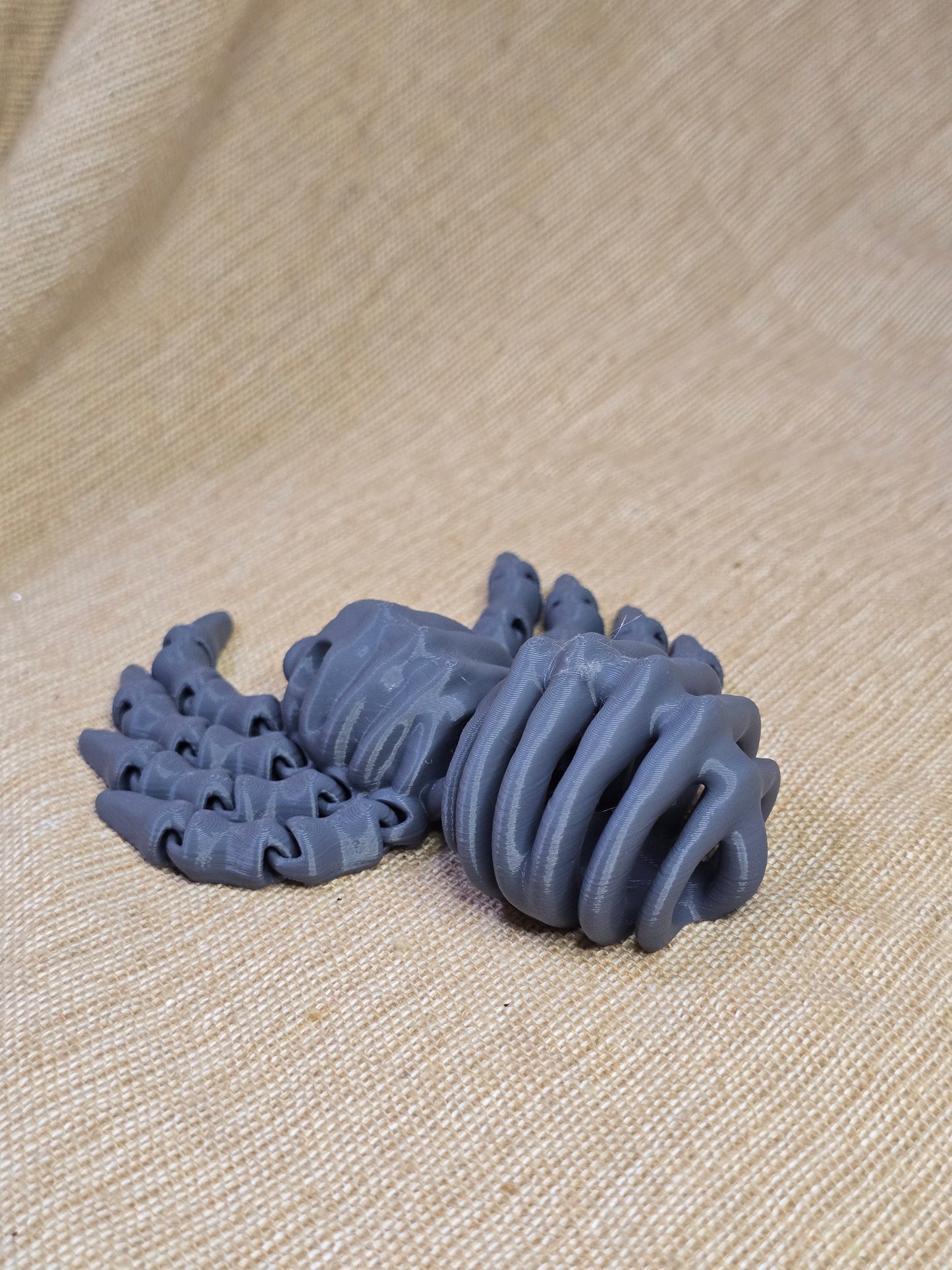 3D printed spider skeleton