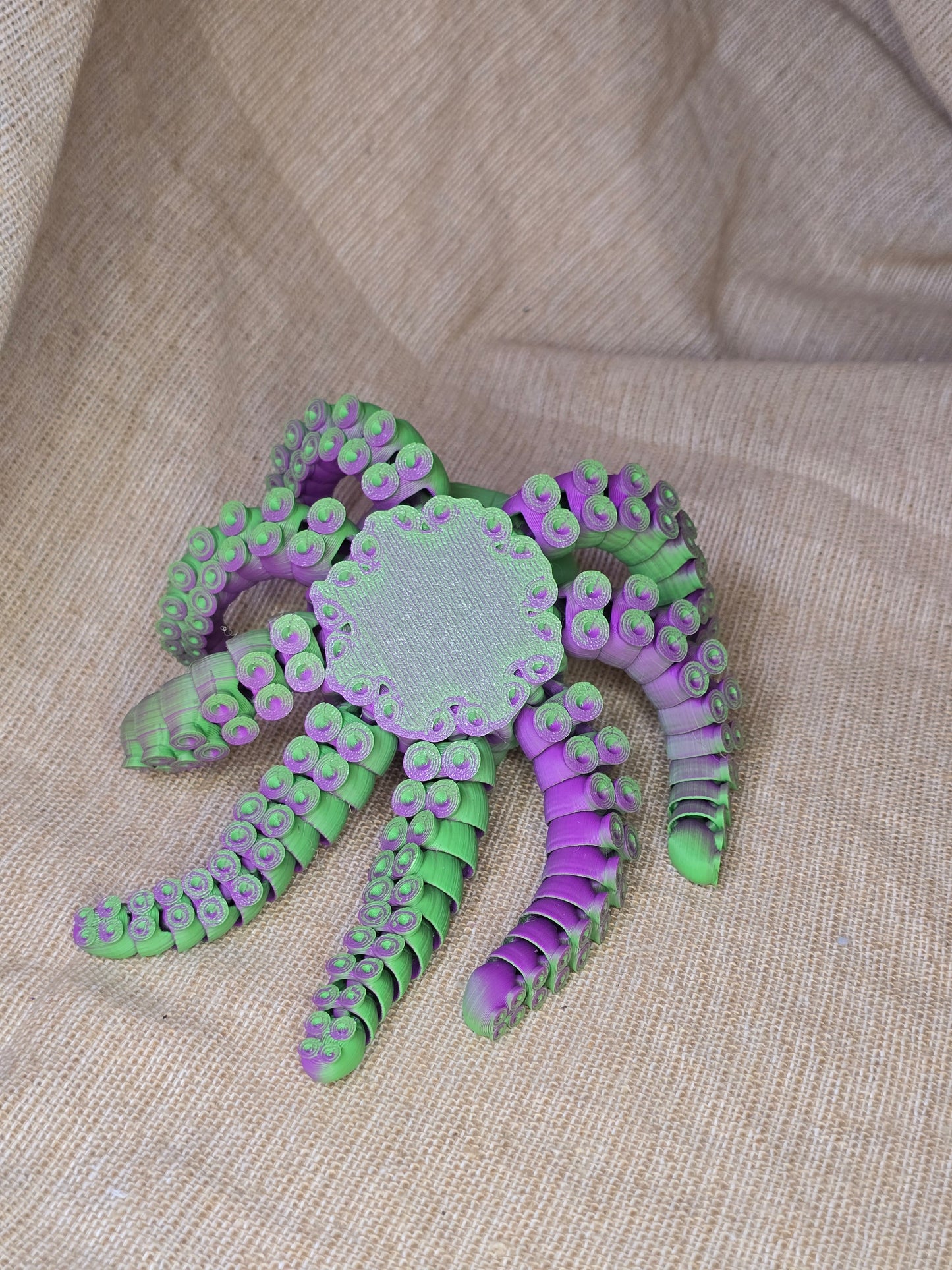 Little Octopus Friend