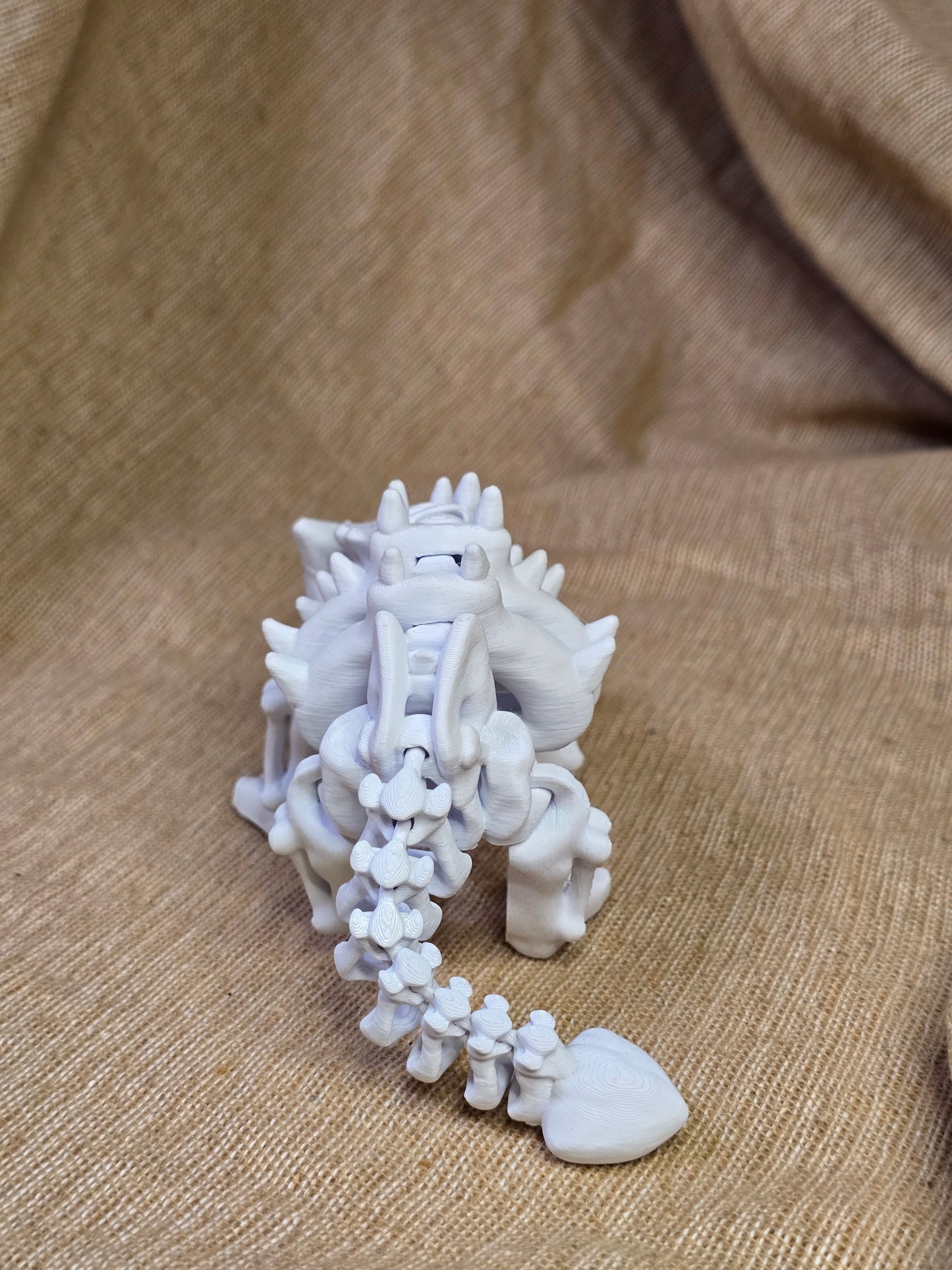 Awkylosauras skeleton