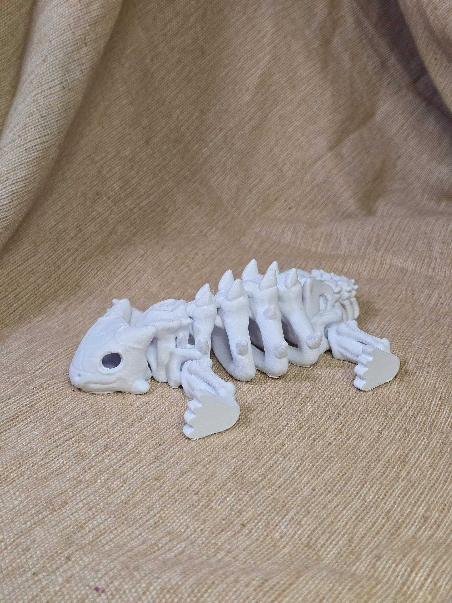 Awkylosauras skeleton